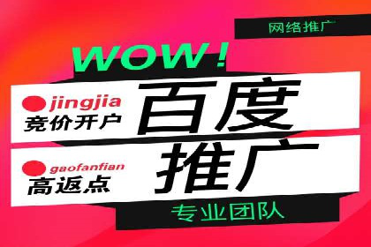 深度解析：百度推广代运营的成功要素